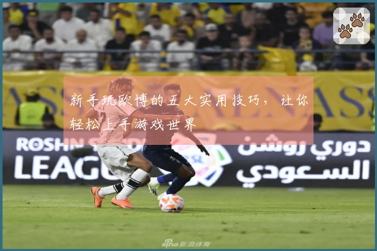 新手玩欧博的五大实用技巧，让你轻松上手游戏世界