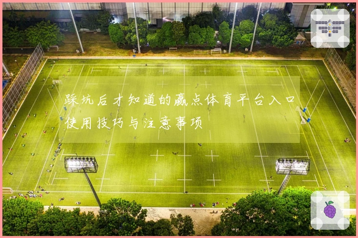 踩坑后才知道的赢点体育平台入口使用技巧与注意事项