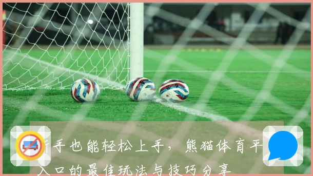 新手也能轻松上手，熊猫体育平台入口的最佳玩法与技巧分享