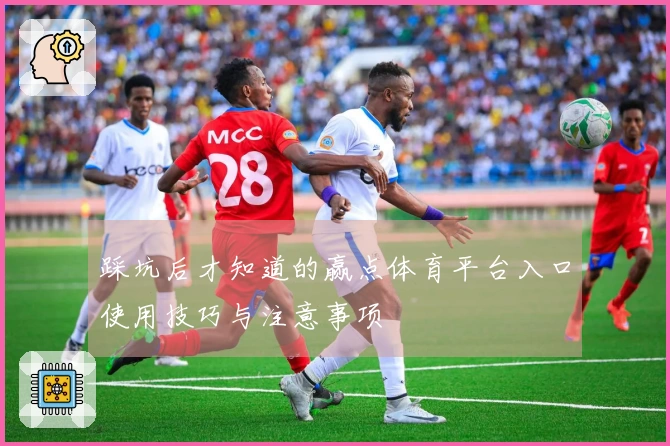 踩坑后才知道的赢点体育平台入口使用技巧与注意事项